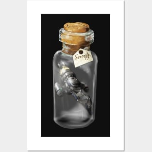 Serenity in a bottle Posters and Art